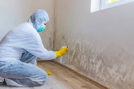 Best Industrial Mold Remediation  in Tahlequah, OK